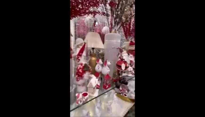 خرید کریسمس مهسا ایرانی به همراه همسر و مادر شوهرش