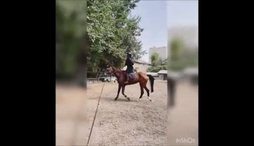 ‎روزهای اول تمرین سوارکاری مه لقا باقری برای سریال نیسان آبی