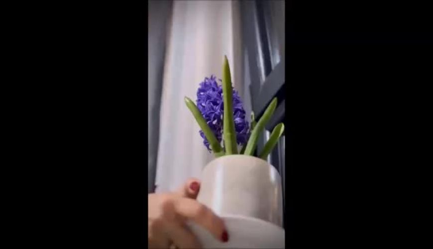 چیدمان بسیار زیبا و شیک سفره هفت سین مرجانه گلچین در خانه اش / چه با سلیقه