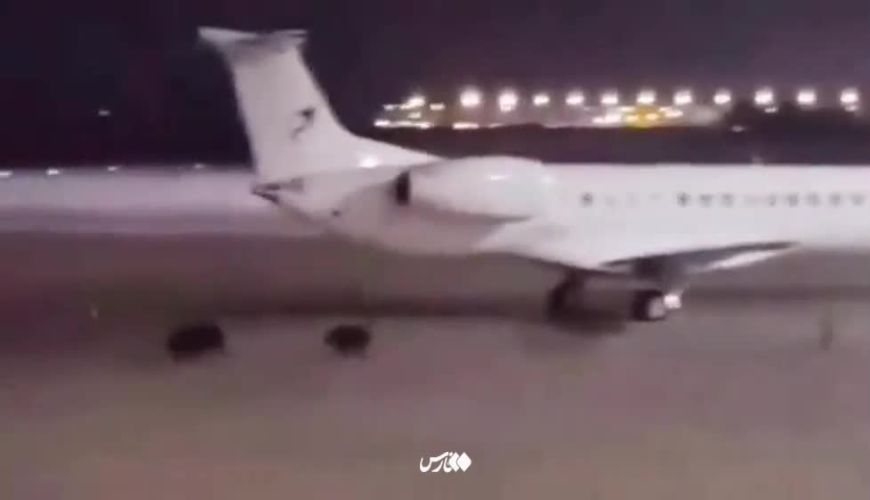  انتشار تصاویری از حضور ۲ قلاده گراز در باند فرودگاه بندرعباس