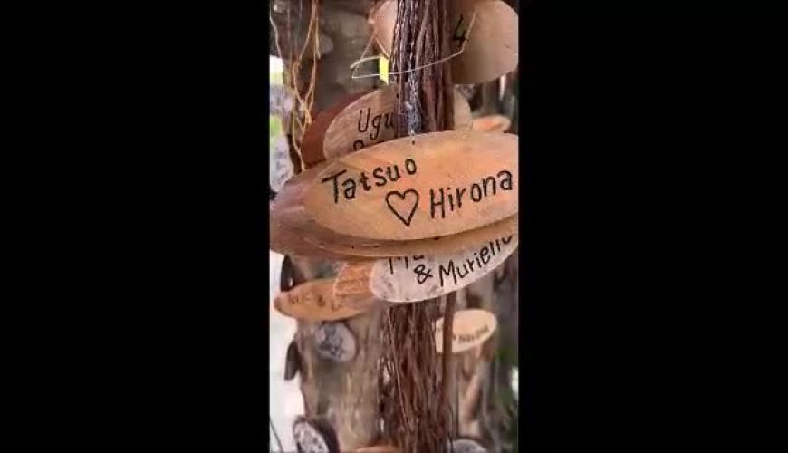 رونمایی نفیسه روشن از باغ عاشقان در جزیره مالدیو / باغ ارکیده باغی بینظیر در قلب مالدیو