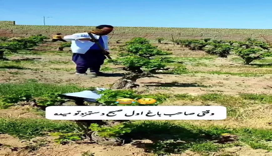 وقتی صاحب باغ اول صبح دستمزد تو رو میده