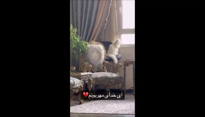 رونمایی نفیسه روشن از دکوراسیون جدید خانه اش با مبلمان سلطنتی و زیبا /  چیدمان منحصر به فرد و ایرانی پسند