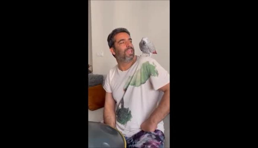 هنگ درام نوازی منوچهر هادی برای سوفی طوطی با مزه اش / حرکات جالب طوطی جلب توجه کرد