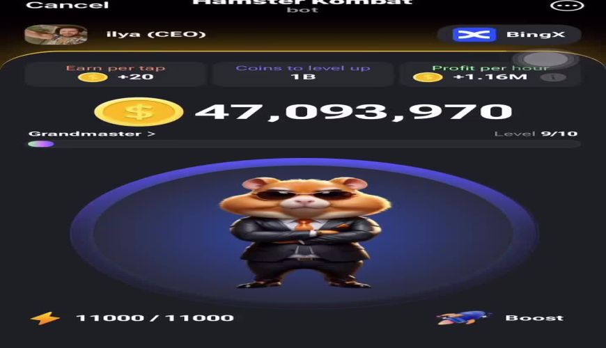 کارت های ۵ میلیونی همستر  ۲۵ خرداد ، کارت های جایزه امروز