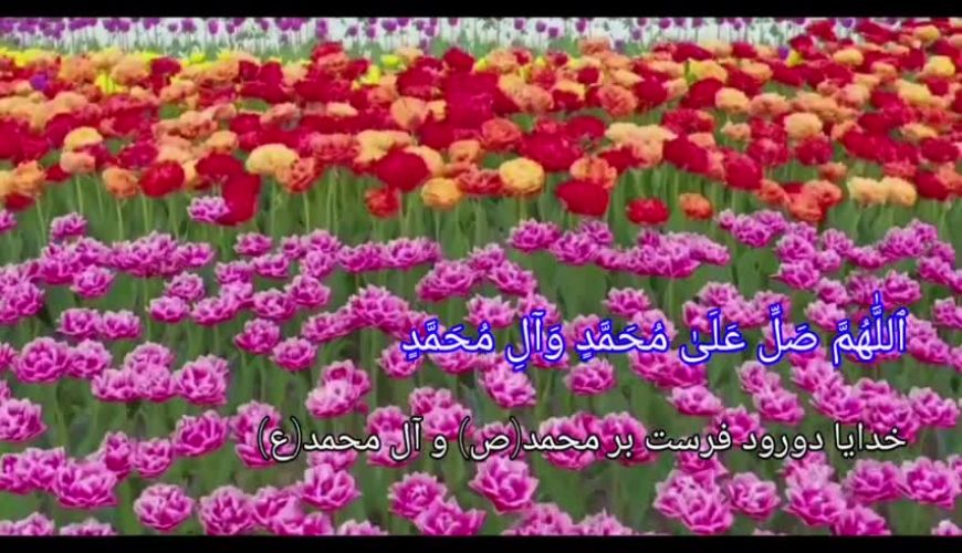 دعای سریع الاجابه از حضرت علی (ع)