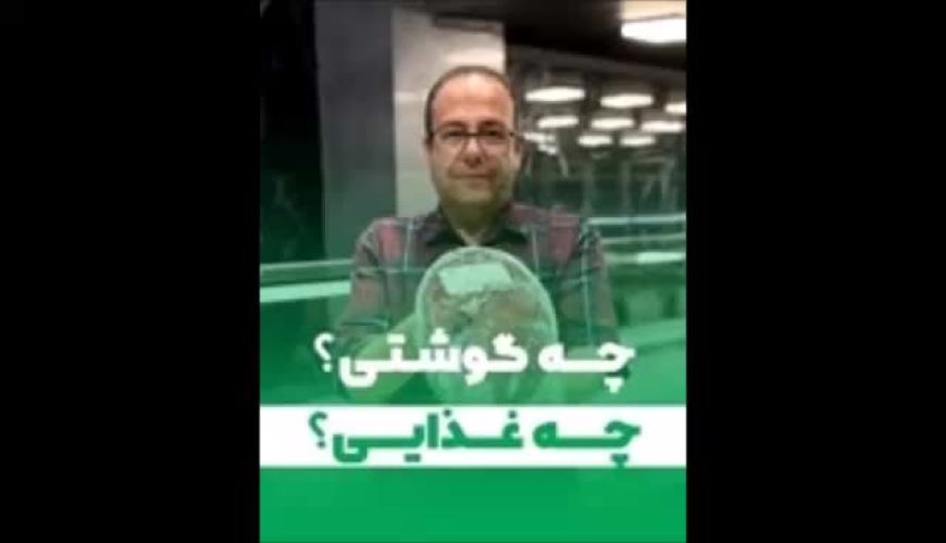 برای هر غذایی چه نو گوشتی مناسب هست ؟