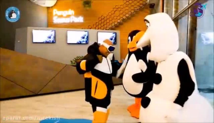 پارک برفی پنگوئن کیش، جایی برای فرار از گرما و تجربه سرمای ناب به همراه دوستان و عزیزانتان