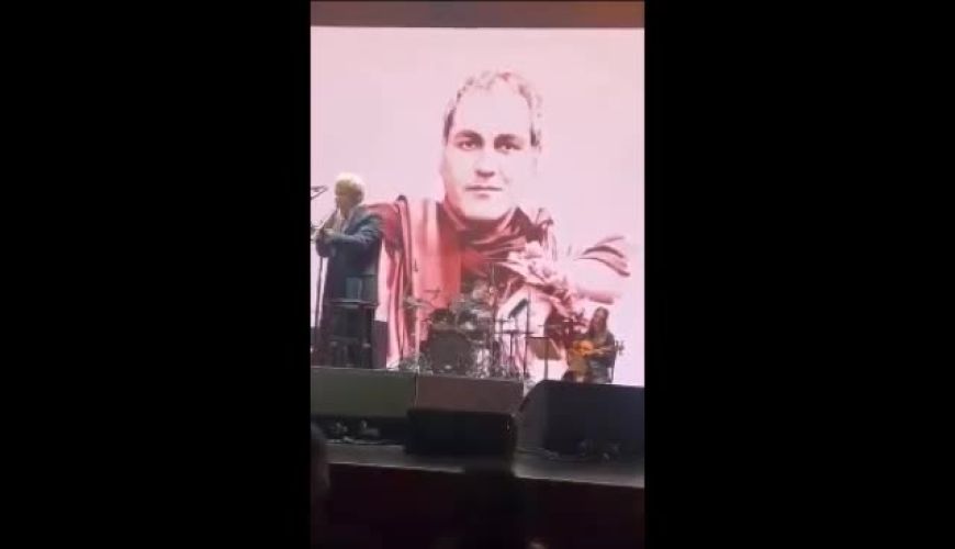 لحظه‌های به یادماندنی با حضور الناز شاکردوست﻿، امیرمهدی ژوله﻿ و شبنم قلی‌خانی﻿ در کنسرت مهران مدیری