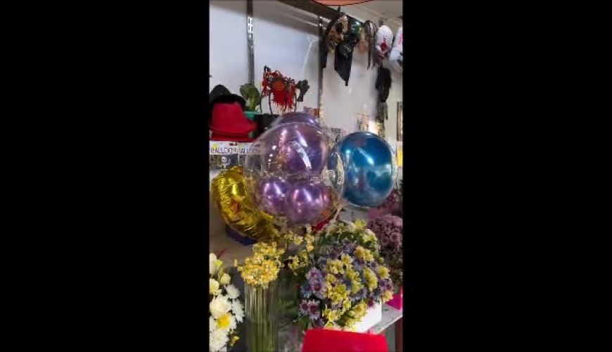 سوفیا دختر دوست‌داشتنی منوچهر هادی همراهی پدر در گلفروشی محله؛ لحظه‌ای پر از عشق و آرامش