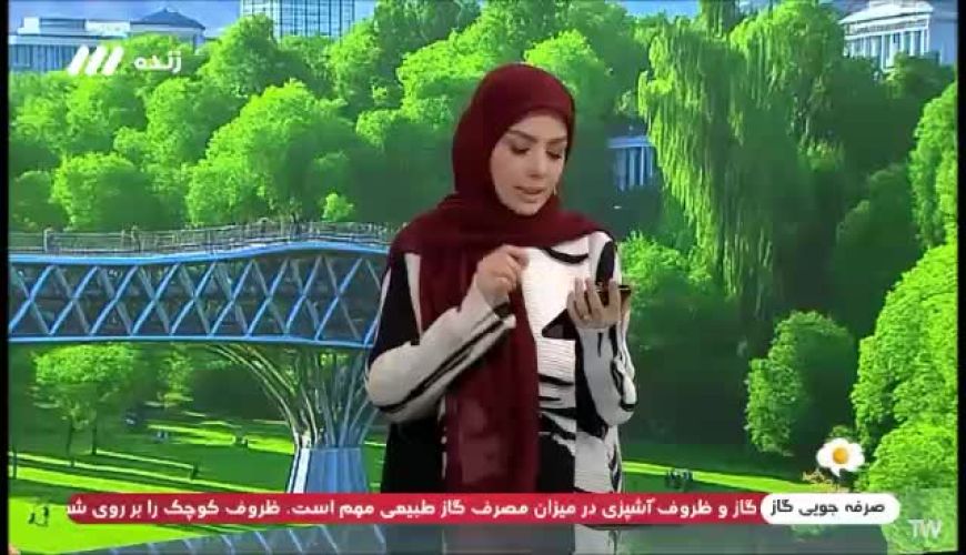 دو موتور جستجوگر ایرانی جای گوگل را گرفت