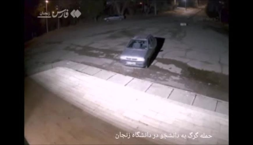 ویدئویی از حمله یک گرگ به دانشجوی دانشگاه  زنجان