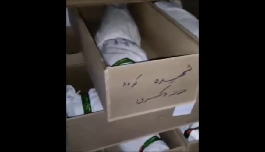 آماده‌سازی قبر ۱۶۸ دانش‌آموز پرپرشده در میناب