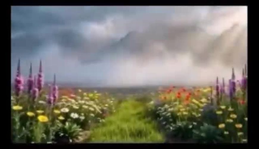 مصطفی راغب برای وطن خواند/ ویدئو 