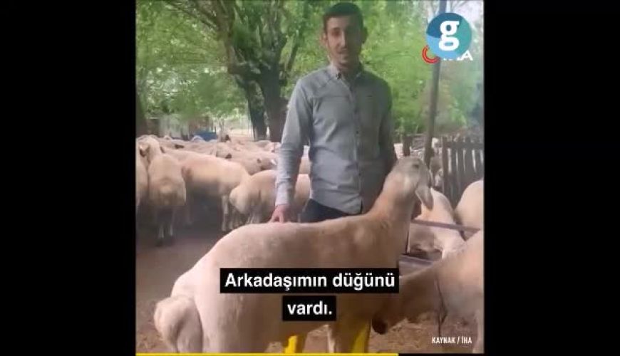 هدیه عجیب در یک مراسم عروسی 